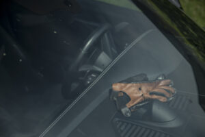 20250531_R4P_Saturday_287