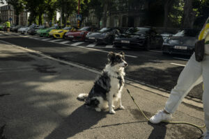 20250601_R4P_Sunday_067